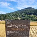 노량보건진료소 이미지