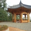 올레길 산림형 3코스 이미지