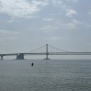 엘레브 | 여행 2일차]광안리 해수욕,수변돼지국밥, 상국이네, 아쿠아리움, 요트투어, 석화연 후기 (일정표 있음)