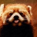 리빙월드 이미지