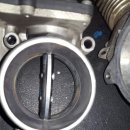 진호카클리닉 이미지