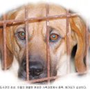 맹수 농장 이미지