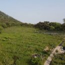 화순믿음공인중개사사무소 이미지