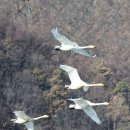 ‘생태학적 용기’... 전환의 시대를 여는 열쇳말 이미지