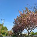 강창학공원 이미지