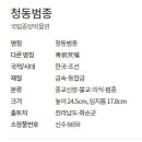 청동 이미지