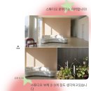 W. 대전 유성 플라워샵 코모(como)에서 스튜디오 플라워디렉팅 계약 후기 - 무드가 미쳐떠요..💐🤍🍋‍🟩