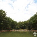 국립희리산해송자연휴양림 이미지