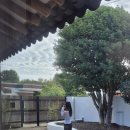 은목서재 | 한옥 독채 보성 숙소 은목서재 내돈내산 후기