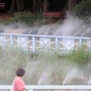 곡성-183 이미지