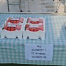 용내길 이미지