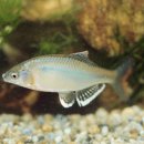 우주 행정사 사무소 이미지