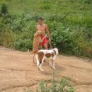 요환농장 이미지