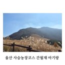 제이농장 | &lt;울산 아기랑 간월재 억새&gt; 8개월,5세 사슴농장코스 시간/주차/밥먹는곳/ 솔직후기