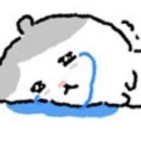 도동