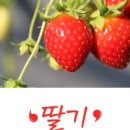 이천두농장 네이버블로그