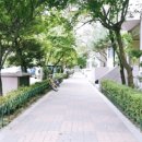 초당우성아파트 이미지