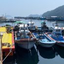 경상남도 수산안전기술원 이미지