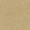 골드 마스터 이미지