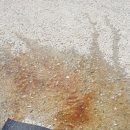 가온크리닝 이미지