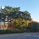 거리공원 이미지