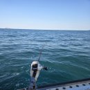 화태바다 | 갈치낚시비용 :) 여수은성호 갈치낚시후기