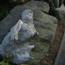 거북이민박 이미지