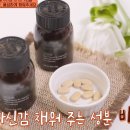 더모티브 티스토리