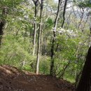 두척경로당 이미지