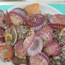 풍성푸드 이미지