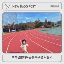 백석생활체육공원 리틀야구장 | 양주 아이랑 갈만한 곳, 백석생활체육공원 축구장에서 가족 나들이