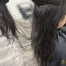서윤목욕탕 | 에이바헤어청주사창점 곱슬머리 고객님의 변화