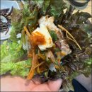 삼겹살먹으러가자 이미지