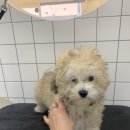 스테이 모량 이미지