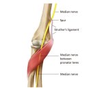 연세신통의원 이미지
