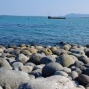 화홍초등학교 이미지