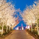 퍼스트가든 동물카페 이미지