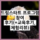 드림스타트 | 드림스타트 프로그램 참여 후기 교육 후기 체험 리뷰