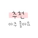 브이아이피썬팅