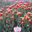 서곶공원 이미지