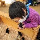 황포농장 이미지