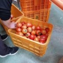 춘길농장 이미지