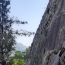 박진옥농장 이미지