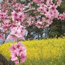 토끼와 거북이길 이미지