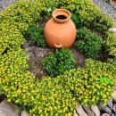 노란담장 이미지