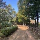 새터근린공원 이미지