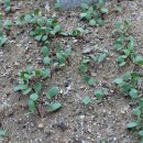 동안농장 이미지