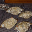 32 | 부산캠핑장 부산항대교 영도마리노 오토캠핑장 오토 32번 후기