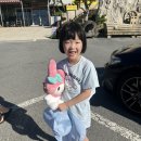 하늘빛바다펜션 | 삼척 장호항 숙소 올해도 하늘빛바다펜션