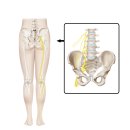 나이스한의원 이미지